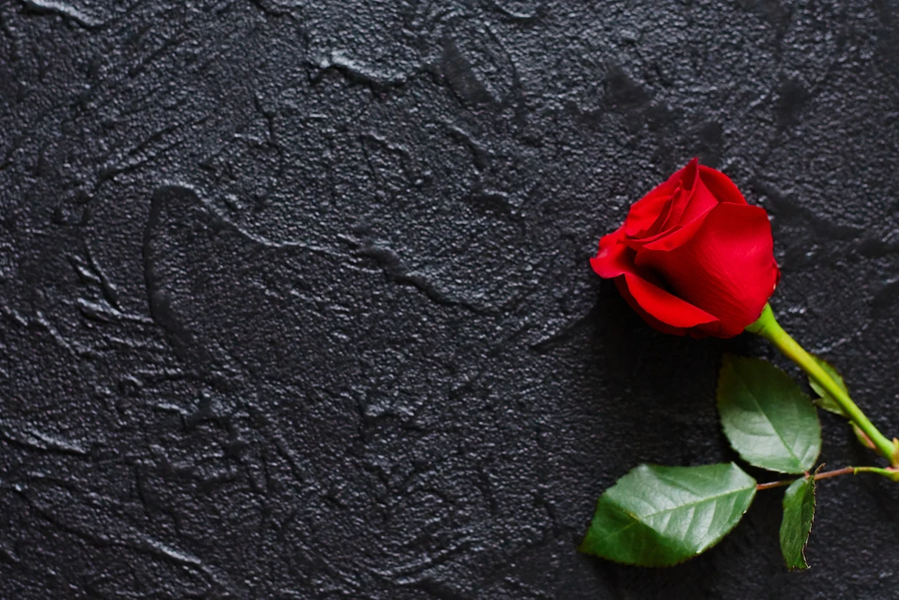 Een dankbetuigingskaart met rode roos